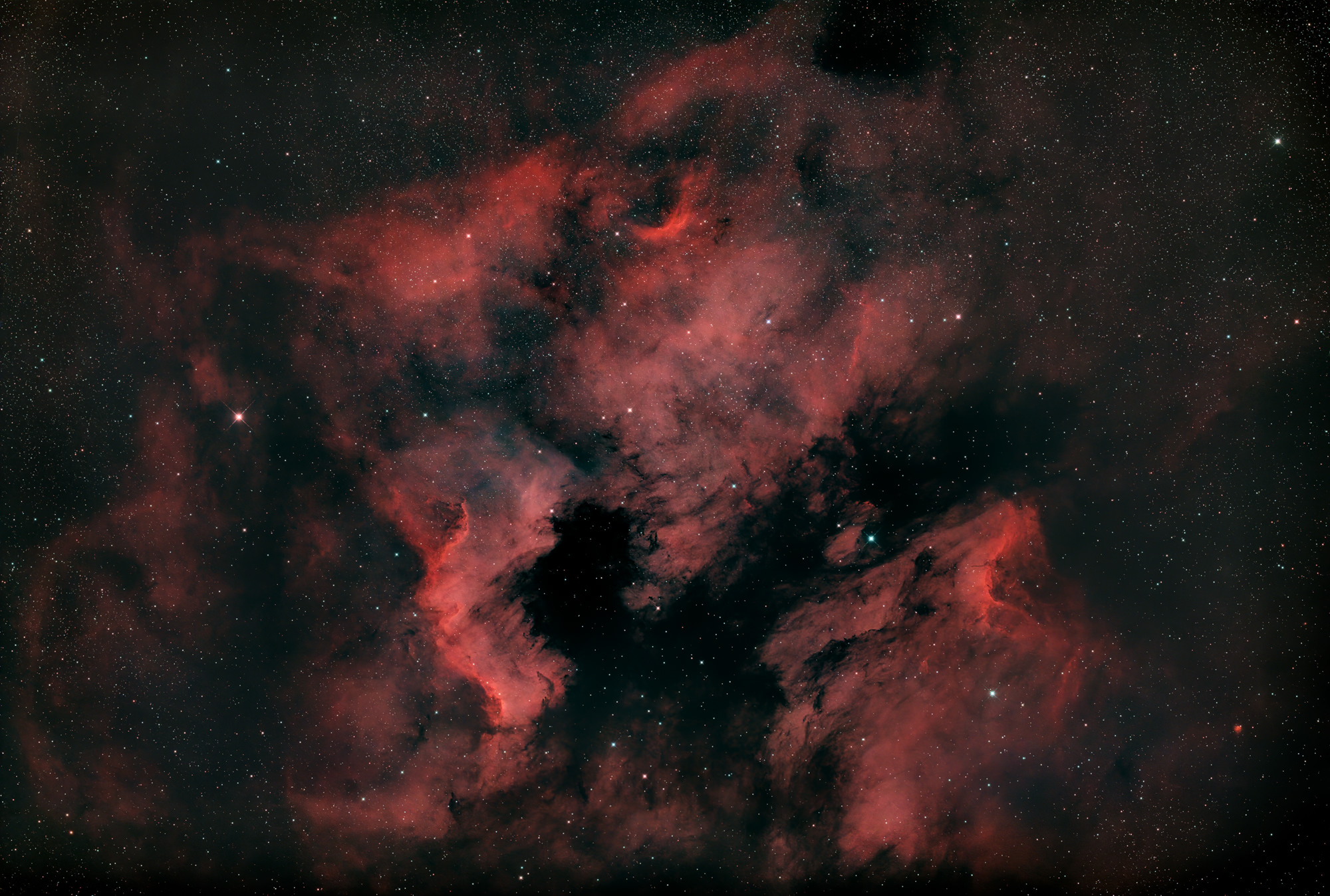 Der Nordamerika-Nebel NGC 7000 und der Pelikan-Nebel IC 5070 sind Emissionsnebel im Sternbild Cygnus in der Nähe von Deneb (der Schwanz des Schwans und sein hellster Stern). Die Form des Nebels ähnelt der des nordamerikanischen Kontinents, komplett mit einem markanten Golf von Mexiko. Oben rechts im Bild ist der Kopf eines Pelikans zu erkennen.